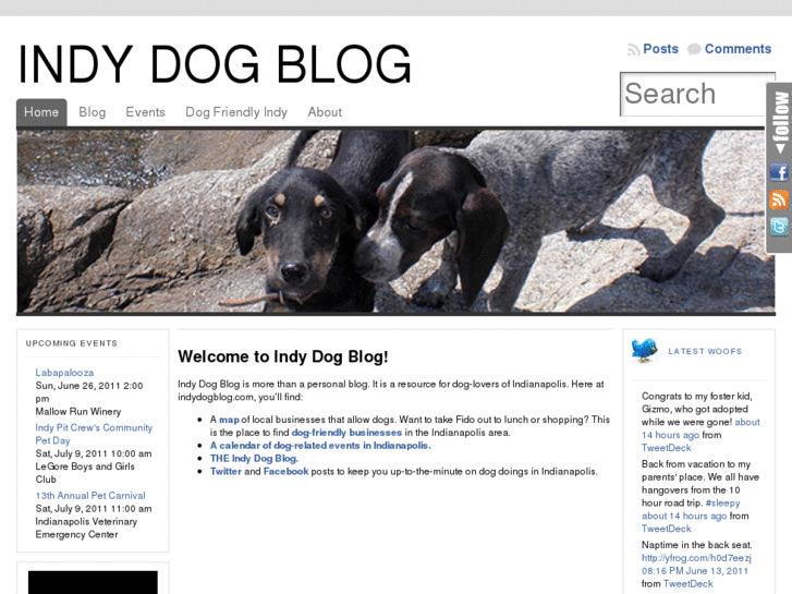 www.indydogblog.com