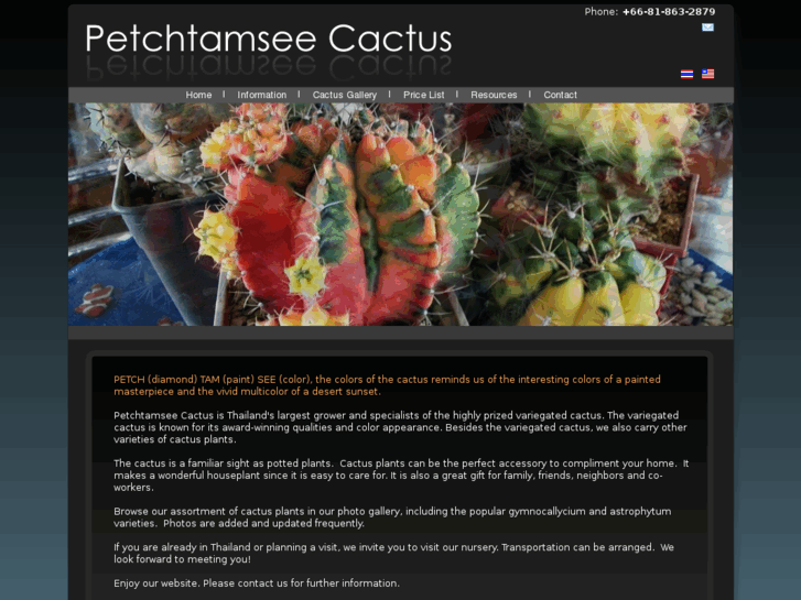 www.petchtamseecactus.com