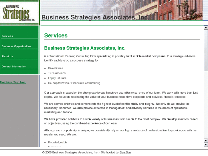 www.biz-strategies.net