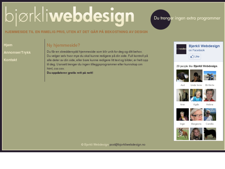 www.bjorkliwebdesign.com