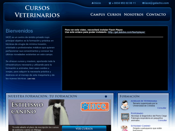 www.cursosveterinarios.com