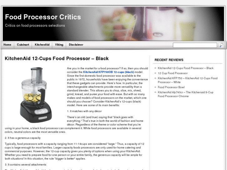 www.foodprocessorcritics.com