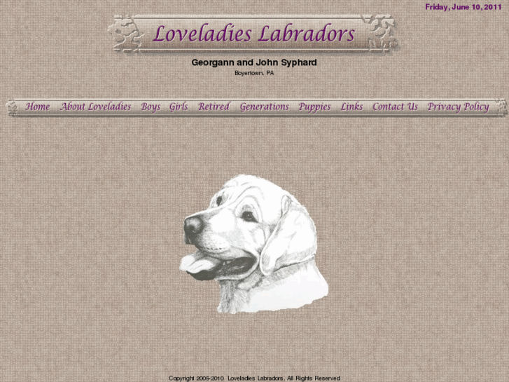 www.loveladieslabradors.com