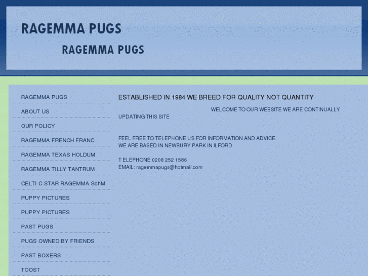 www.ragemmapugs.com