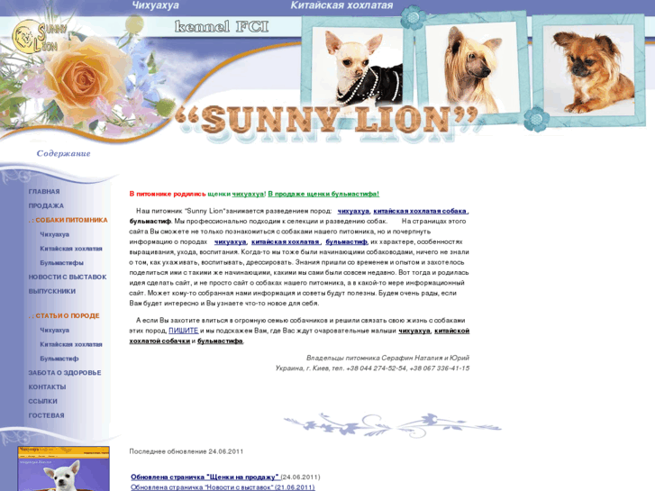 www.sunnylion.com