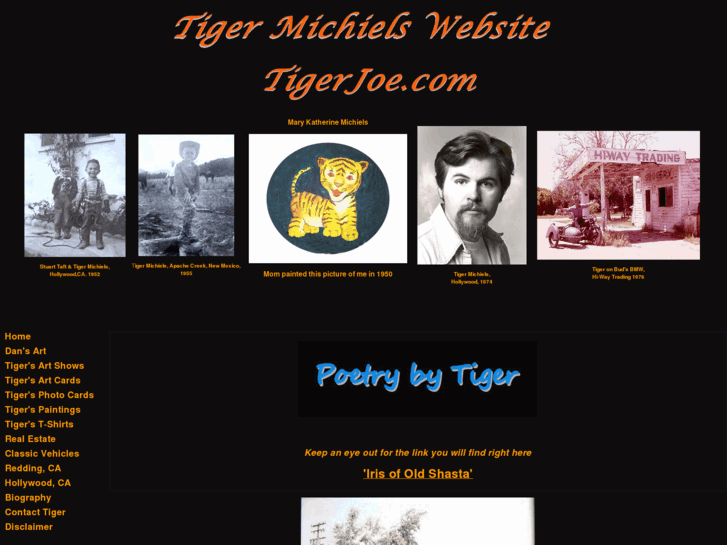 www.tigerjoe.com