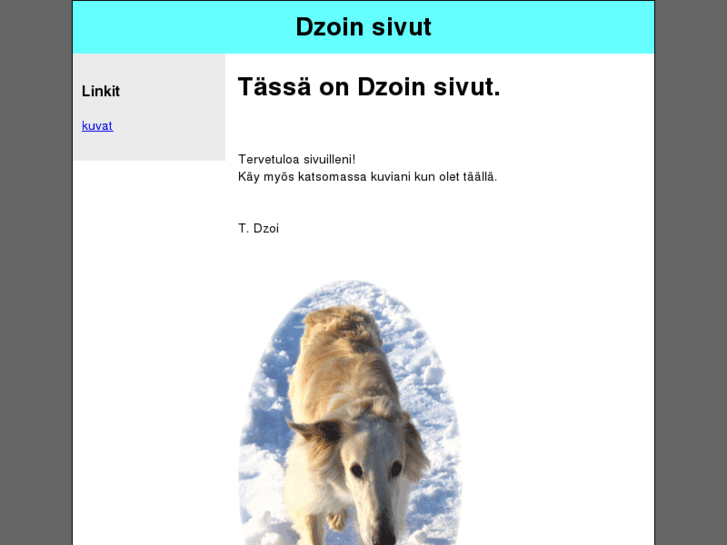 www.dzoi.biz