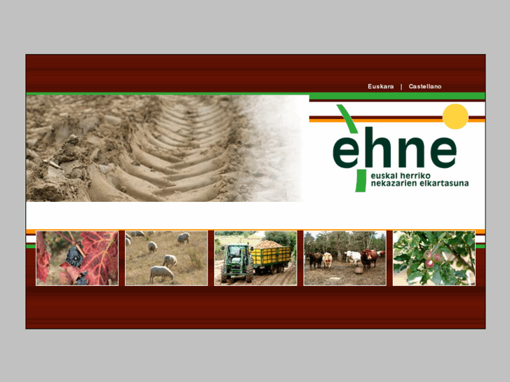 www.ehne.org