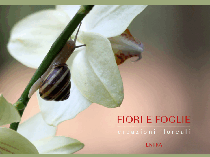 www.fioriefoglie.net