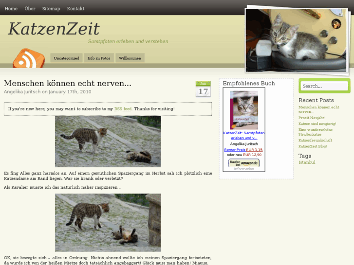 www.katzenzeit.com