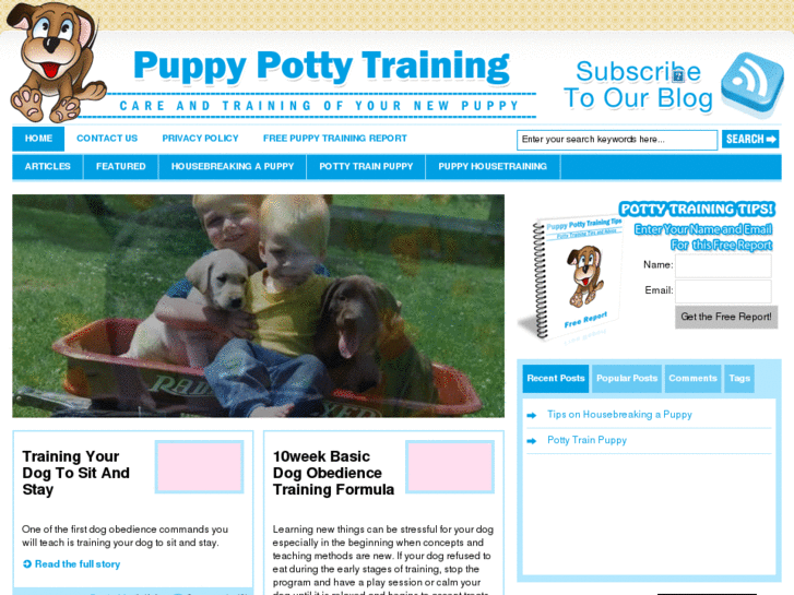 www.pottytrainpuppy.net