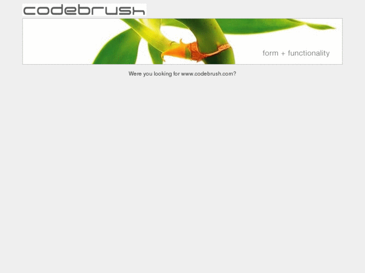 www.codebrushdevelopment.com