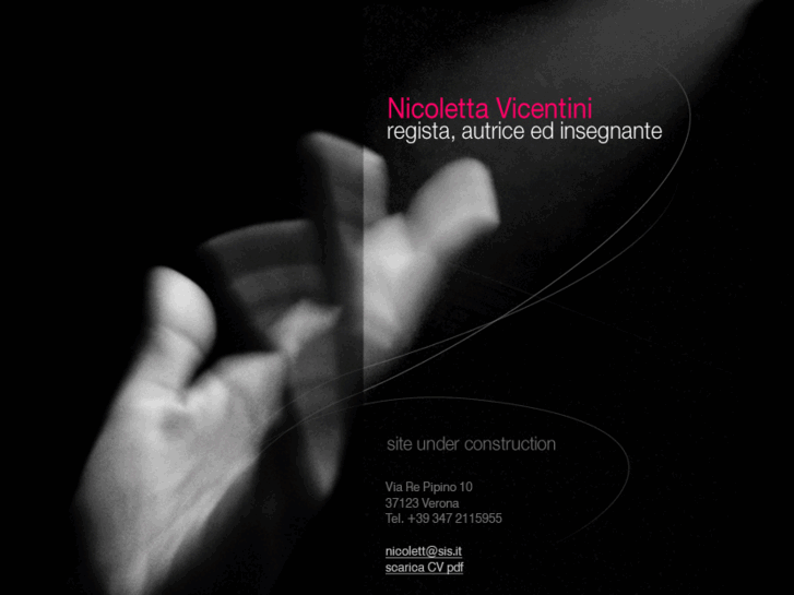 www.nicolettavicentini.com