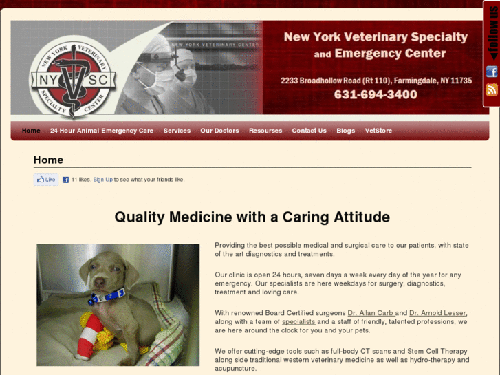 www.nyvsc.com