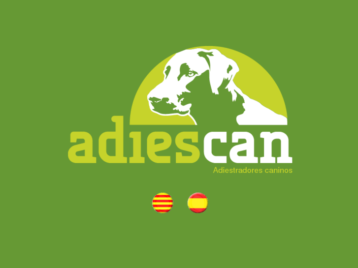 www.adiescan.com