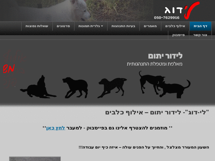 www.lidog-train.com