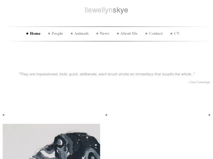 www.llewellynskye.com