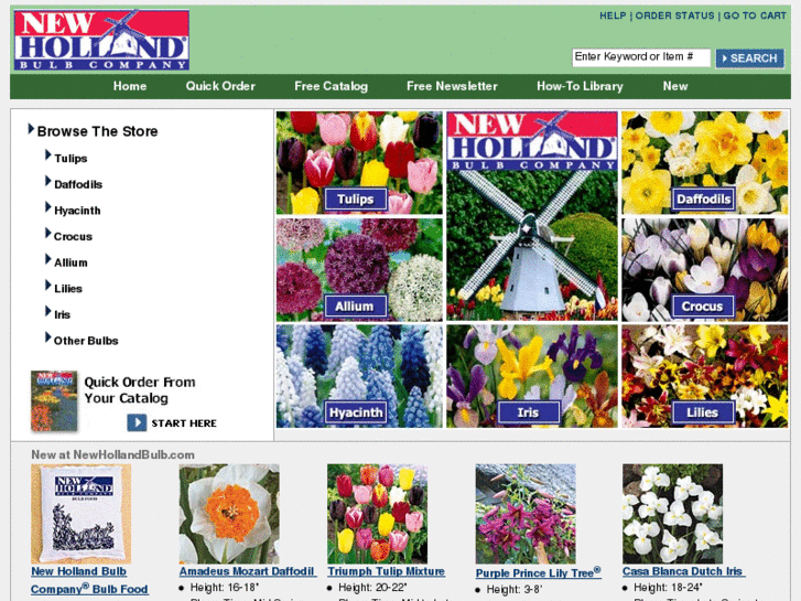 www.newhollandbulb.com