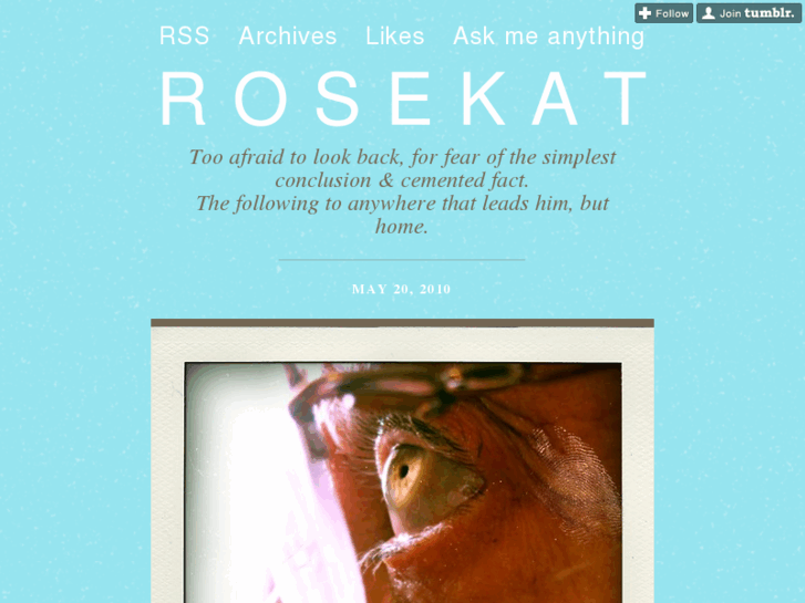 www.rosekat.com