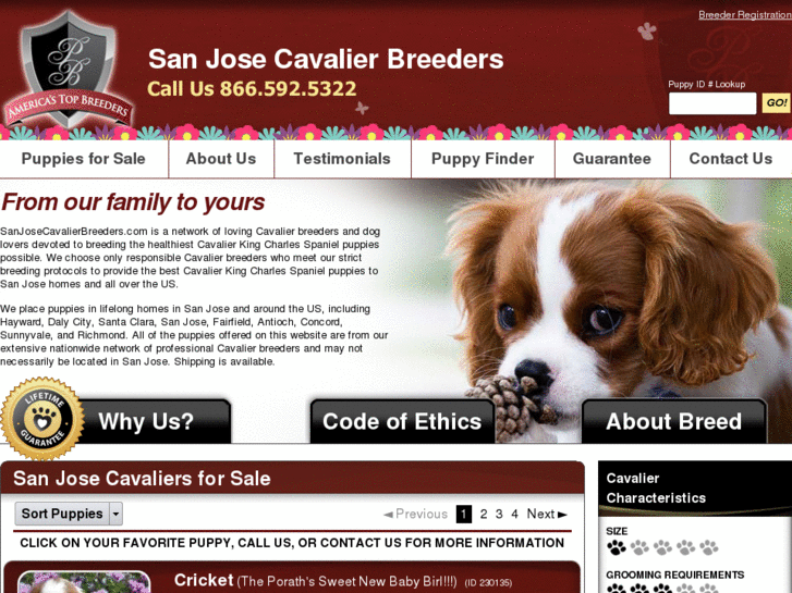 www.sanjosecavalierbreeders.com