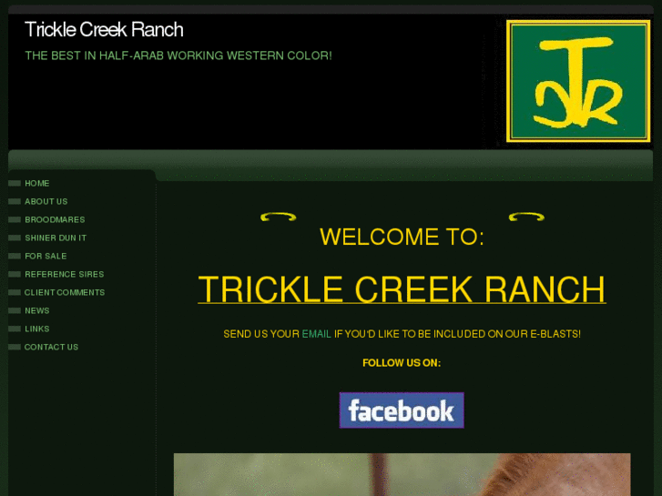 www.tricklecreekranch.com