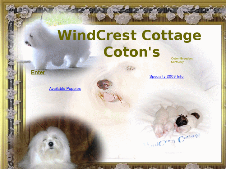 www.windcrestcottagekyusa.com