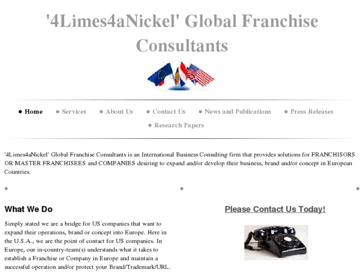 www.4limes4anickelglobalfranchiseconsultants.com