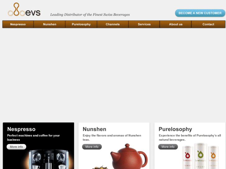 www.evs-int.com
