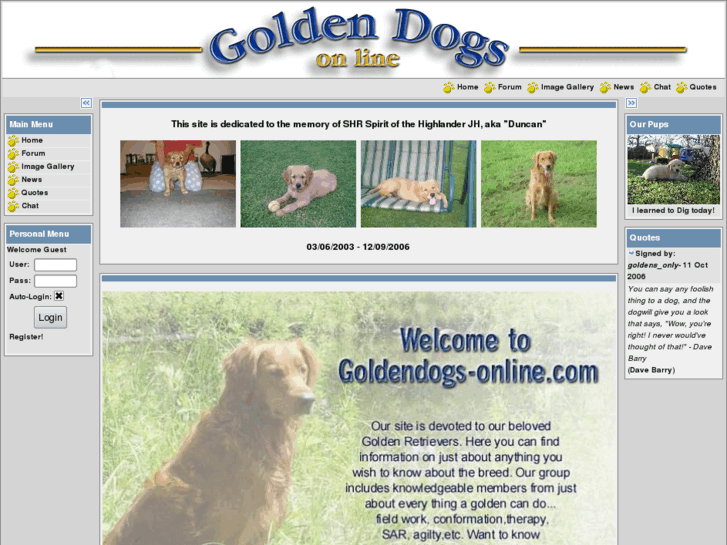 www.goldendogs-online.com
