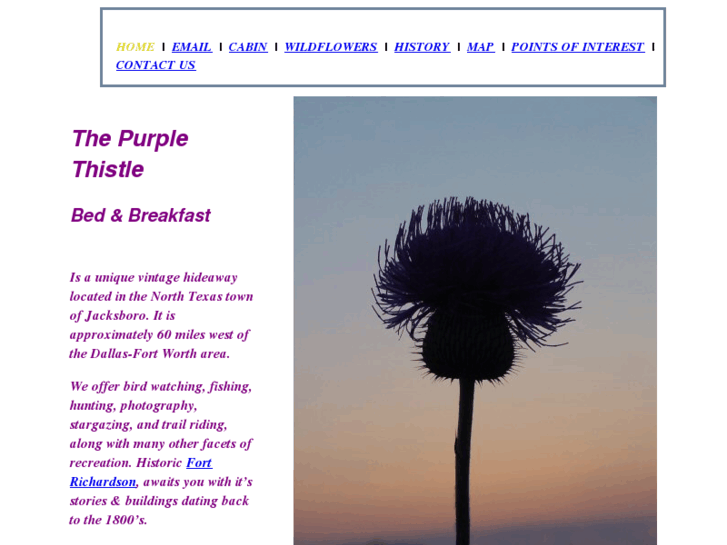 www.purplethistle.com