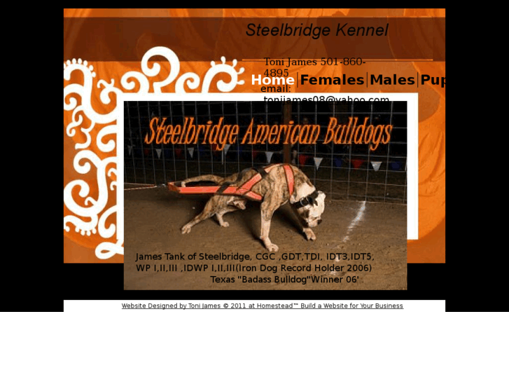 www.steelbridgekennel.com