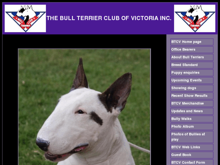 www.bullterrierclubvic.com