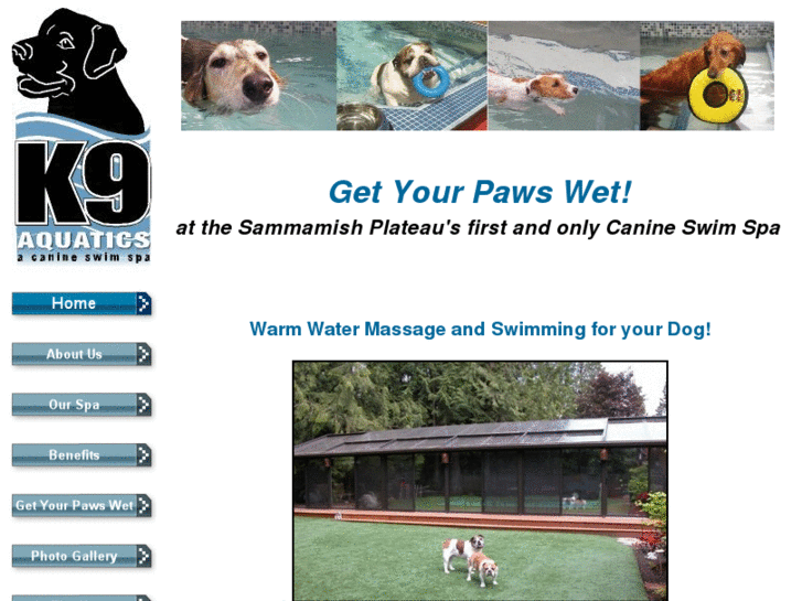 www.k9aquatics.com