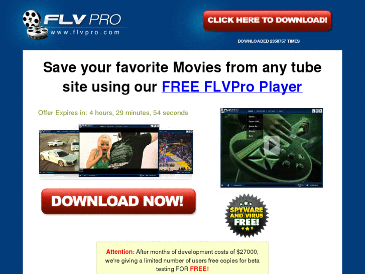 www.myfreeflvplayer.com