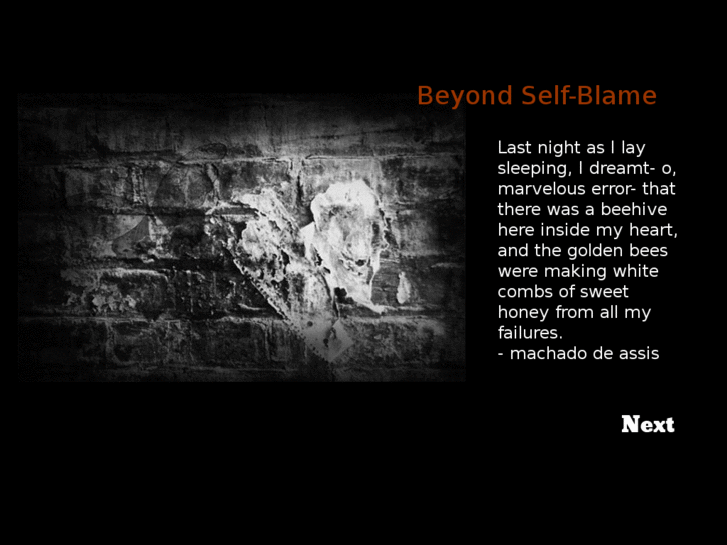 www.beyondselfblame.com