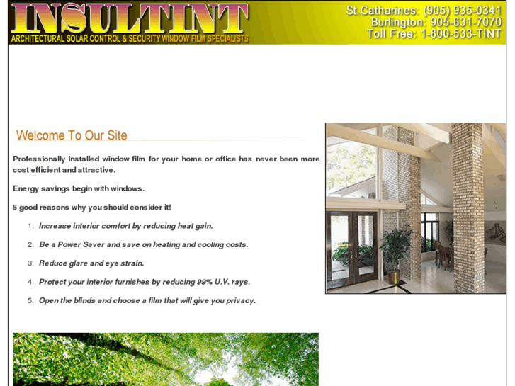 www.insultint.com