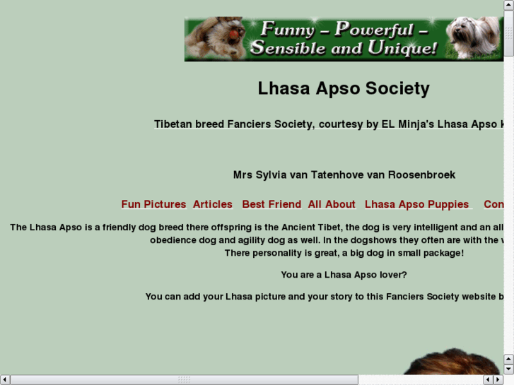 www.lhasa-apsos.org