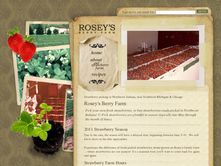 www.roseysfarm.com