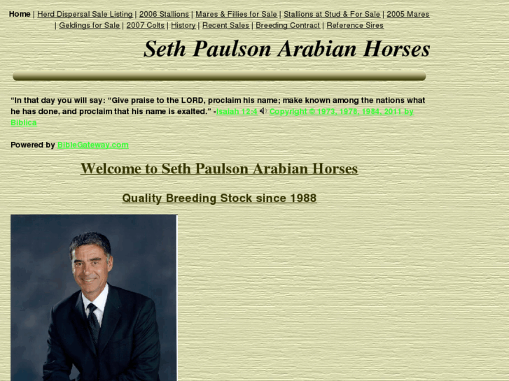 www.sethpaulsonarabianhorses.com