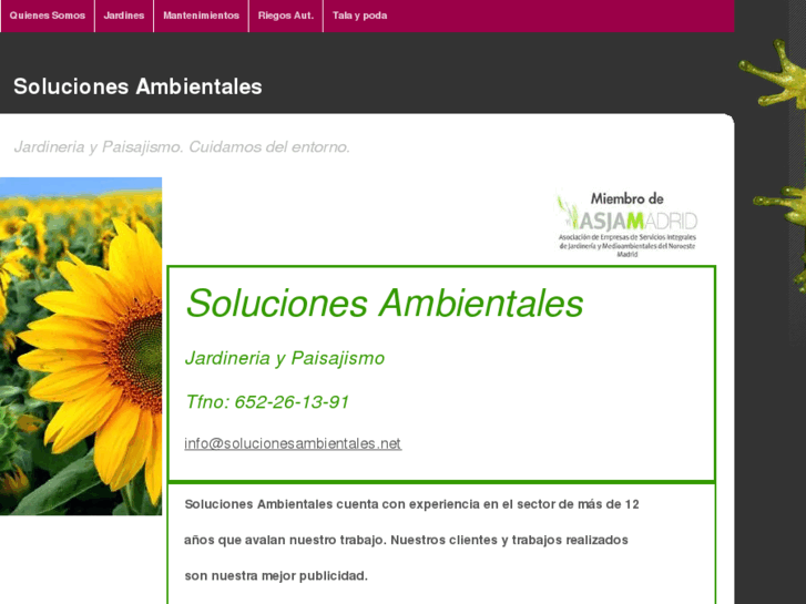 www.solucionesambientales.net