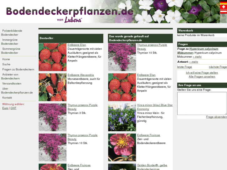 www.bodendeckerpflanzen.de