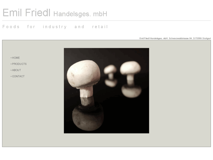 www.emil-friedl.com