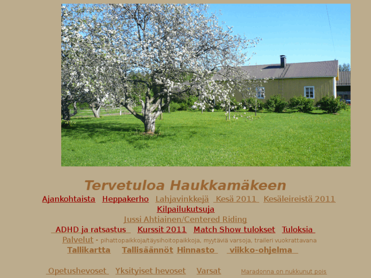 www.haukkamaenhevostila.net