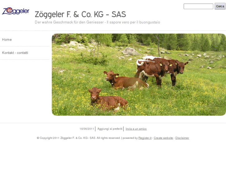 www.zoeggeler.info