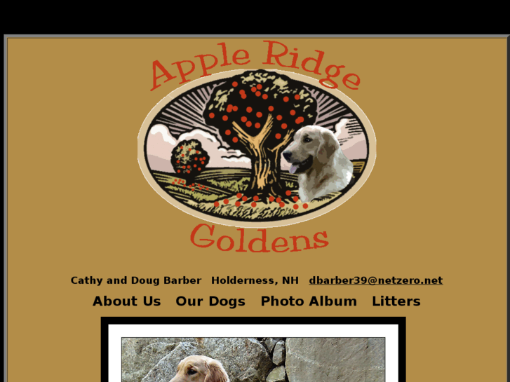 www.appleridgegoldens.com