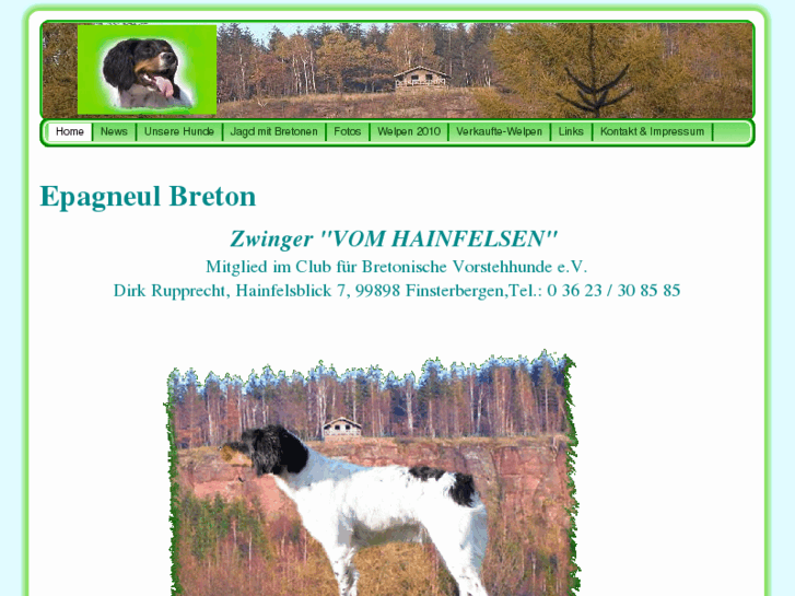 www.bretonische-vorstehhunde.com