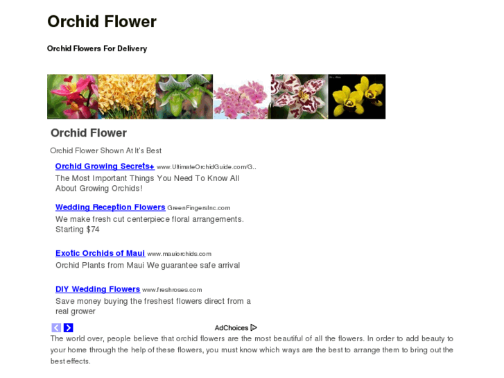 www.orchidflower.org