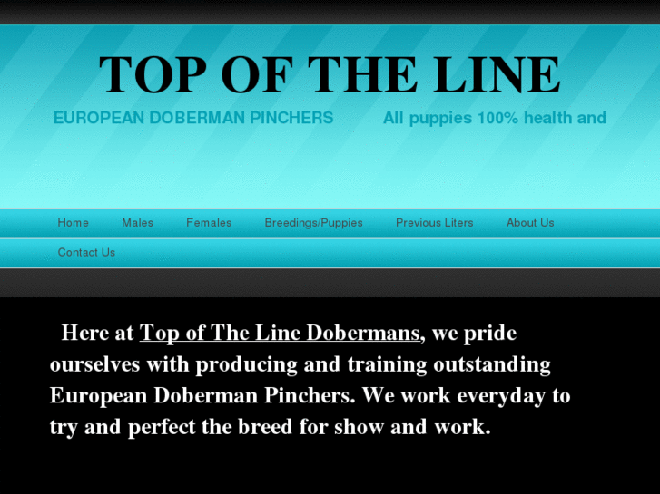 www.topofthelinedobermans.com