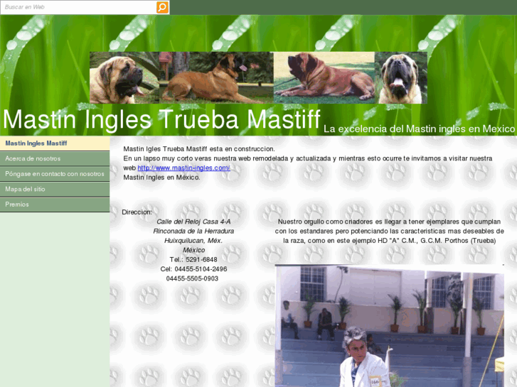 www.trueba-mastiff.com