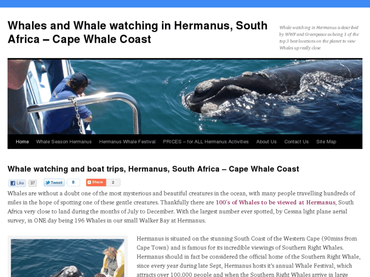 www.whalehermanus.com